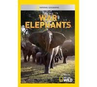 War Elephants
