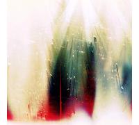WAR ON DRUGS - Future Weather