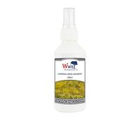 War World Scenics Spray pour Couches Herbe Statique 250ml Dioramas Modélisme Ferroviaire Wargaming