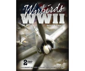 Warbirds of WWII 2