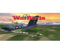 WarBirds - World War II Combat Aviation (PC)