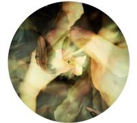 Wareika - Burnin [Import]