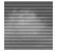 Wargirl - Wargirl [Import]