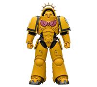Warhammer 40,000 figurine d'action édition jeu poings impériaux intercesseur lou