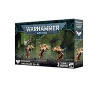 Warhammer 40k - Blood Angels Garde Sanguinienne