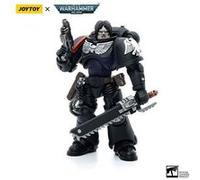 Warhammer 40k - Figurine 1/18 Raven Guard Intercessors Brother Colvane 12 cm G