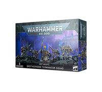 Warhammer+40k+-+Grey+Knights+Paladins+%2F+Terminators+Squad