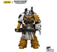 Warhammer 40k: imperial Fists - Figurine Legion Apothecary 12 cm