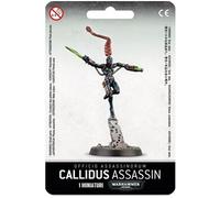 Warhammer 40k - Agents Imperiaux Assassin Callidus