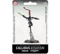 Warhammer 40k - Agents Imperiaux Assassin Callidus