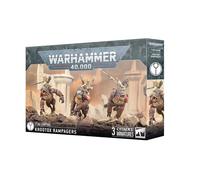 Games Workshop – Warhammer 40k T'au Empire Saccageurs Kroots