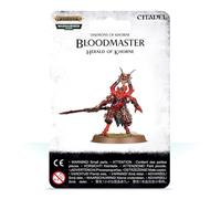 Warhammer+AoS+%26+40k+-+Daemons+Of+Khorne+Bloodmaster%2C+Herald+of+Khorne