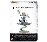 Warhammer Aos & 40K - Tzeentch Arcanites Tzaangor Shaman