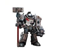 Warhammer BLOOMAGE JOYTOY (Beijing) Tech 40k : Grey Knights Terminator Caddon Vibova Figurine échelle 1:18