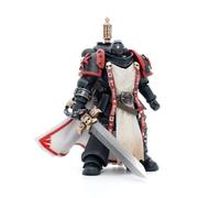 Warhammer BLOOMAGE JOYTOY (Beijing) Tech 40K - Templiers Noirs Primaris Sword Brethren Eberwulf