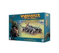 Warhammer ToW - Orc & Gobelin : Chevaucheurs de Sangliers Orc