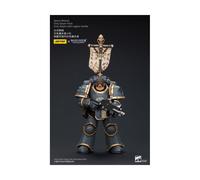 Warhammer The Horus Heresy - Figurine 1/18 Space Wolves Grey Slayer Pack Grey Slayer With Legion Vexilla 12 cm Multicolore G