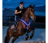 Warhm Collier plastron LED pour cheval, sangle de poitrine rechargeable par USB, harnais réfléchissant avec 3 modes d'éclairage, équipement équestre réglable visible et sûr pour l'équitation de nuit