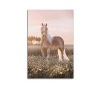 WARL Magnifique poster Haflinger Cheval décoratif sur toile 30 x 45 cm