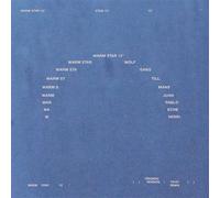 Wolfgang Tillmans & Juan Pablo Echeverri - Warm Star 12" [Vinilo]