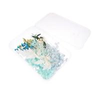 Warmhm 1 Boîte Fleurs Séchées et Pressées Véritables, Fleurs Séchées Bleues, Matériau DIY Décoratif, pour Cadres Photo, Serrage-têtes et Herbiers Faits Main, Décoration de Table