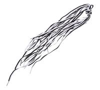 Warmhm 10 Pièces Lacets de Chaussures Plats en Polyester 100cm Noirs et Blancs, Multifonctionnels et Résistants, pour Baskets Décontractées et Sportives