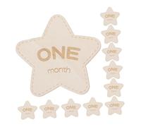 Warmhm 12pièces Photo Mensuelles Double-sided Pour Annonces Et Événements De Nourrissons Accessoires Photo Pour Et