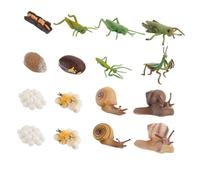 Warmhm 16 pièces Modèle Évolution Animale Éducatif Cycle de Croissance Réaliste pour Garçon Fille Kit Cognitif Pédagogique pour Maternelle Couleurs Aléatoires Couleur Couleur Aléatoire