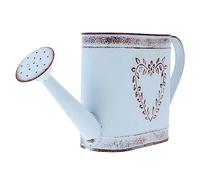 Warmhm Arrosoir Vintage Arrosoir en Métal Bouilloire Pot De Fleur Seau Vase Rustique pour Intérieur Extérieur Décorations pour La Maison