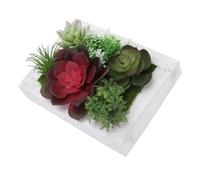 Warmhm Cadre Photo Créatif Plante Artificielle Réaliste en Plastique, Décoration Murale pour Maison et Escalier, Accessoire Décoratif Succulent Élégant