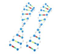Warmhm Kit de Modélisation Moléculaire Adn Double Hélice 2 Pièces pour Élèves et Étudiants Taille Standard en Plastique Pédagogique pour Apprentissage Génétique en Laboratoire Éducatif