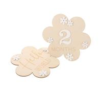 Warmhm Lot De 2 Jouets Pour Bébé Panneau De Nom De Chambre D'Enfant Panneau De Bébé D'Un Mois Panneau De Bienvenue Pour Bébé Garçon Blocs De Jalons Bannière De Shower
