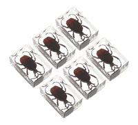 Warmhm Lot de 6 Spécimens de Coléoptères, Araignées et Arachnides en Résine 4,5 Cm, Décor Éducatif et Scientifique pour e Sciences, Collection Réaliste et Pédagogique