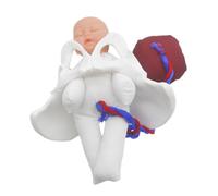 Warmhm Modèle Daccouchement avec Bassin Réaliste et Fœtus pour Enseignement et Démonstration Du Processus de Naissance