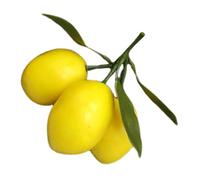 Warmhm Modèle de Citron simulé Arrangement de Citron Mur Presse-Citron Presse-Agrumes à Froid Raisin décoration d'intérieur Citron Artificiel décor de Ferme Fruits artificiels Plastique