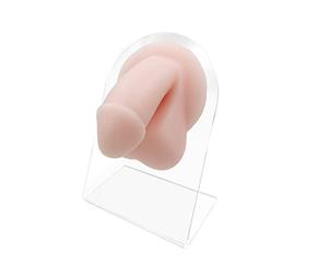 WARRIOR modele penis 3D en silicone avec presentoir, pratique piercing