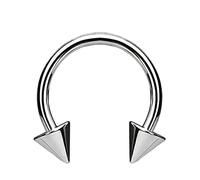 WARRIOR Piercing Fer à Cheval Circulaire Barbell Septum Nez Tragus Helix Cartilage Stérile Titane G23 Pièce Unique Taille Mesure 16G (1,2mm) Pièce Unique (002-8)