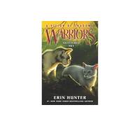 Warriors A Vision of Shadows 3 Shattered Sky by Erin Hunter Paperback Book Erin Hunter (Auteur)