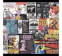 Warsaw Poland Bros - Live