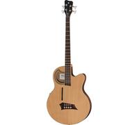 Warwick Warwick Alien Deluxe Hybrid 4 NTS