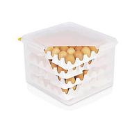WAS 8623 120 Boîte à œufs en polypropylène HACCP 35,4 cm x 32,5 cm x 20 cm
