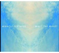 Was I The Wave ?