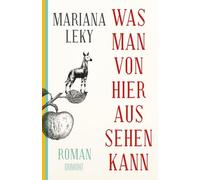 Was man von hier aus sehen kann: Roman