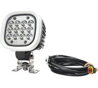 WAS Projecteur de travail 12 V, 24 V, 36 V, 48 V, 60 V, 70 V W130 8000 Spot Superseal 1215/I éclairage à large spectre (l x H x P) 110 x 159 x 86 mm 8000 lm