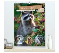 Waschbären - Neugierige Streifzüge durch die Jahreszeiten (hochwertiger Premium Wandkalender 2027 DIN A2 hoch), Kunstdruck in Hochglanz: Wildtiere hautnah in ihrer Lebenswelt