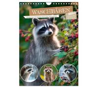 Waschbären - Neugierige Streifzüge durch die Jahreszeiten (Wandkalender 2027 DIN A4 hoch), CALVENDO Monatskalender: Wildtiere hautnah in ihrer Lebenswelt