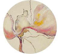 Wash+Dry Paillasson Amarosa, 150 x 150 cm, pour intérieur et extérieur, Lavable,