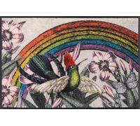 wash+dry Paillasson, Design Rainbow Garden 50x75cm, intérieur, lavalble, sans Bordure, Multicolore