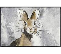 Wash+Dry paillasson, Hopps 50x75 cm, intérieur et extérieur, Lavable