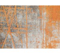 Wash+Dry Rustic Tapis de Sol, Polyamides, Multicolore, 170/240
